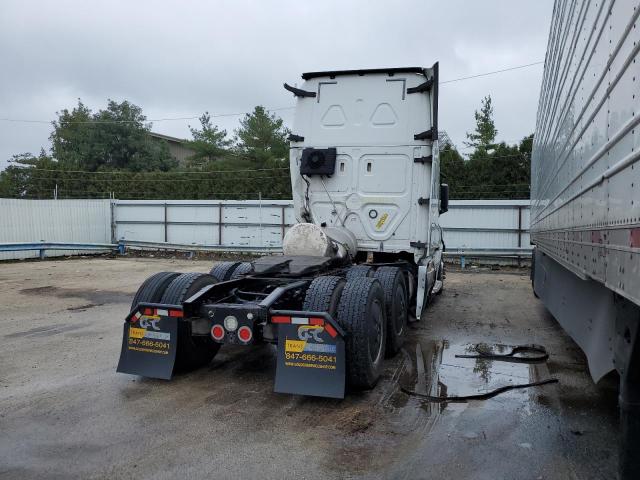 2020 FREIGHTLINER CASCADIA 1 #3287773096