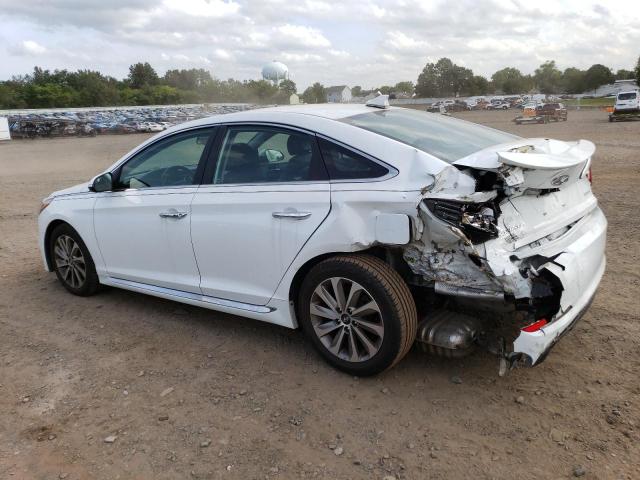 5NPE34AF5GH370235 Hyundai Sonata Sport