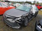 2023 TOYOTA CAMRY XLE - 4T1F11BK6PU097148
