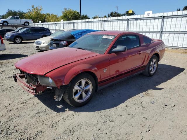 2009 Ford Mustang 