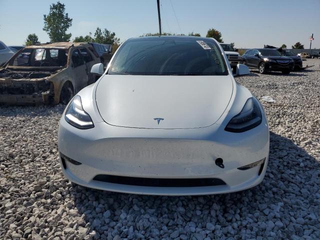 2022 TESLA MODEL Y - 7SAYGDEE6NA011913