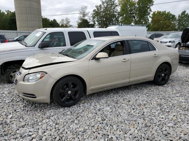 2009 Chevrolet Malibu 