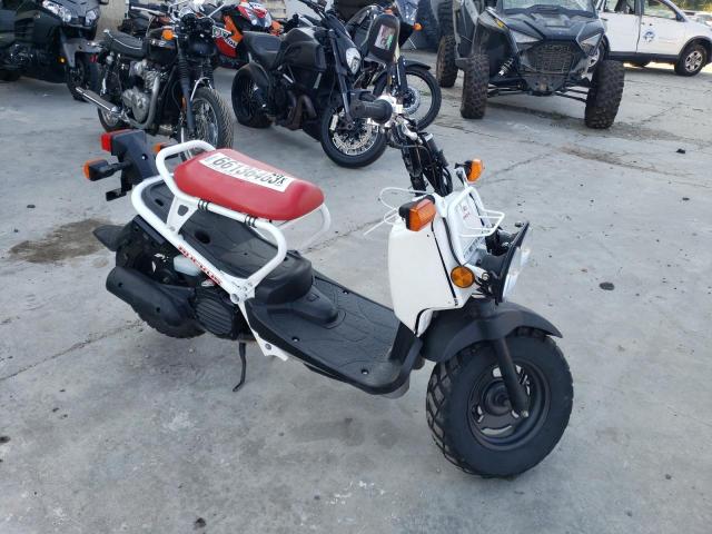 Honda Ruckus nps50