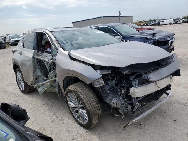 2023 LEXUS NX 350 2T2HGCEZ4PC023669