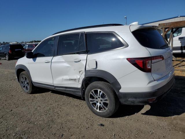 2022 HONDA PILOT TRAI 5FNYF6H86NB072697