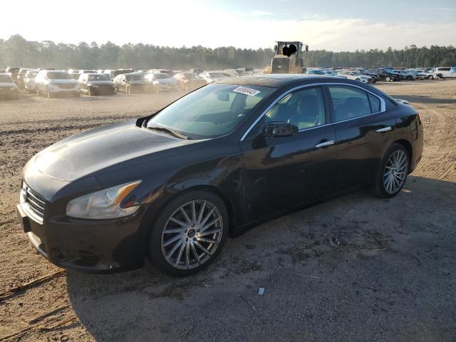 2010 Nissan Maxima S