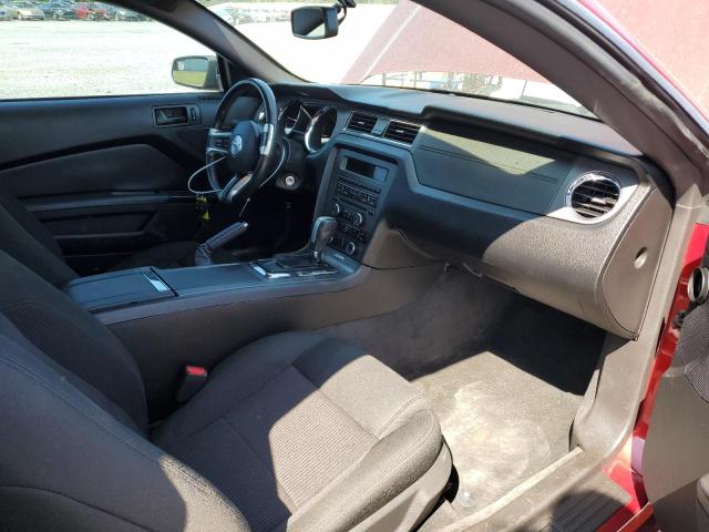 1ZVBP8AM2E5283447 Ford MUSTANG