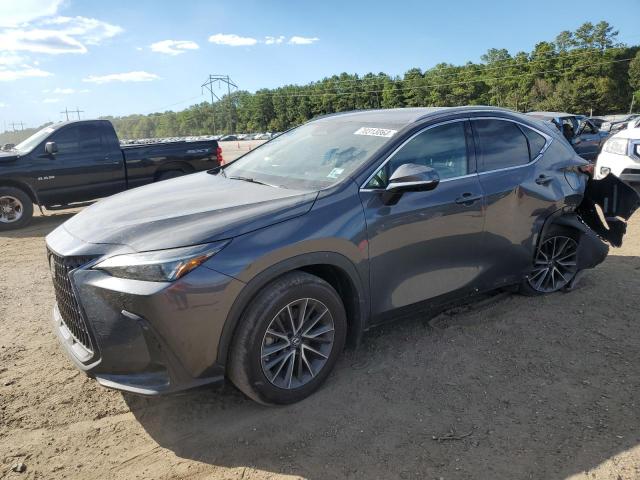 2022 Lexus NX 