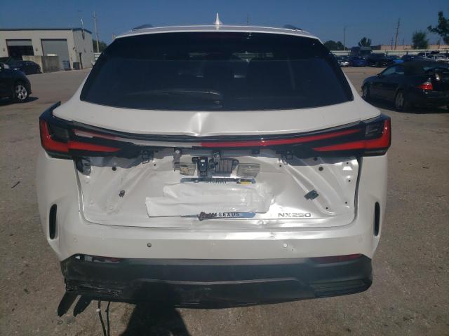 2023 LEXUS NX 250 JTJGDCAZXP5010546