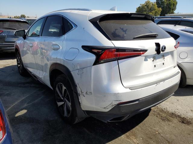 2020 LEXUS NX 300 JTJDARBZ0L5004827