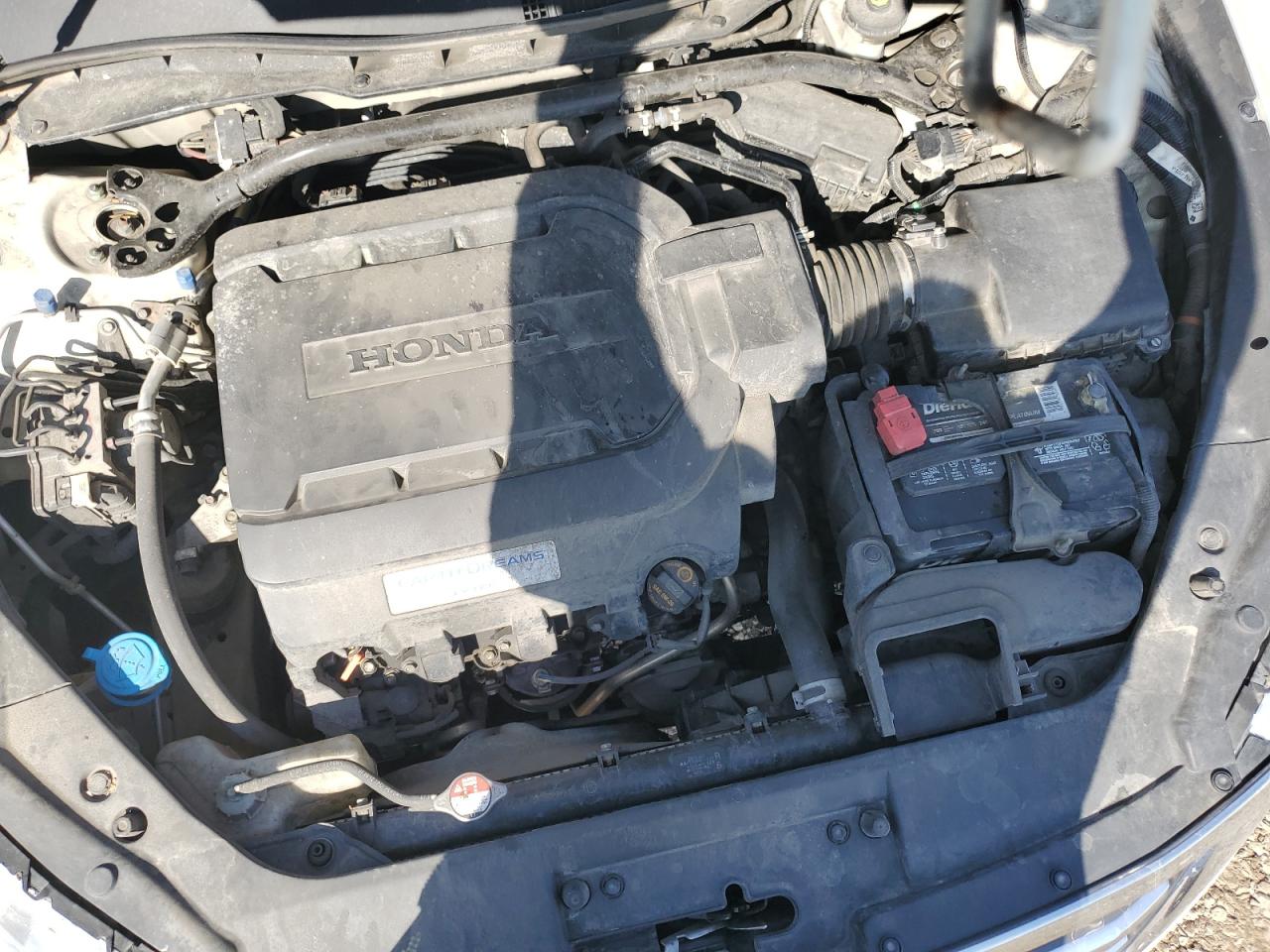 5j6tf2h51dl002054 5J6TF2H51DL002054 2013 Honda Crosstour Exl