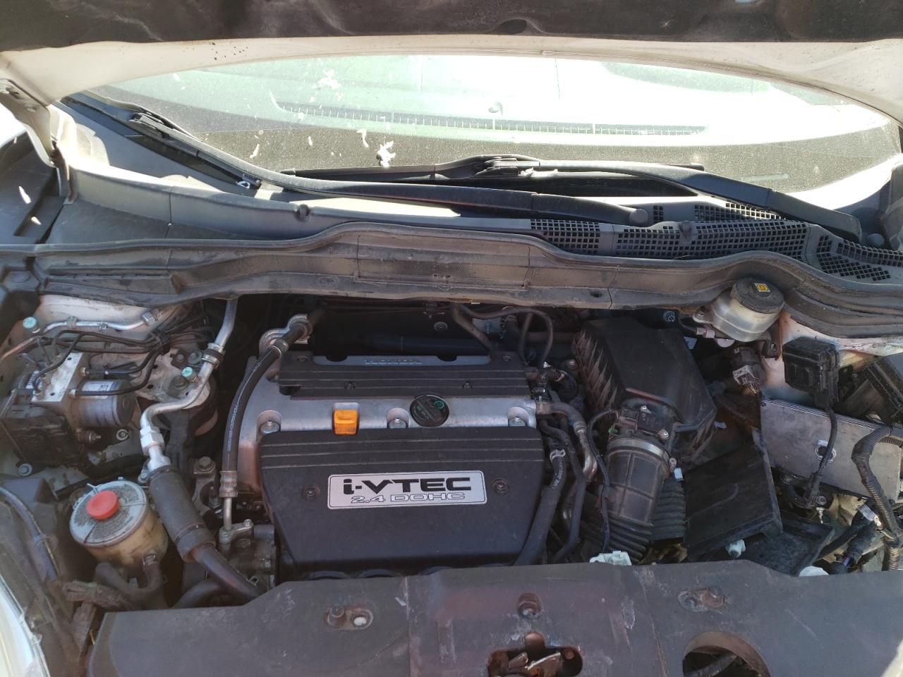 5J6RE38769L026300 2009 Honda Cr-V Exl 5J6RE38769L026300 2009 Honda Cr-V Exl