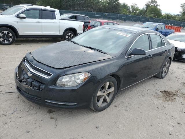 2011 Chevrolet Malibu 