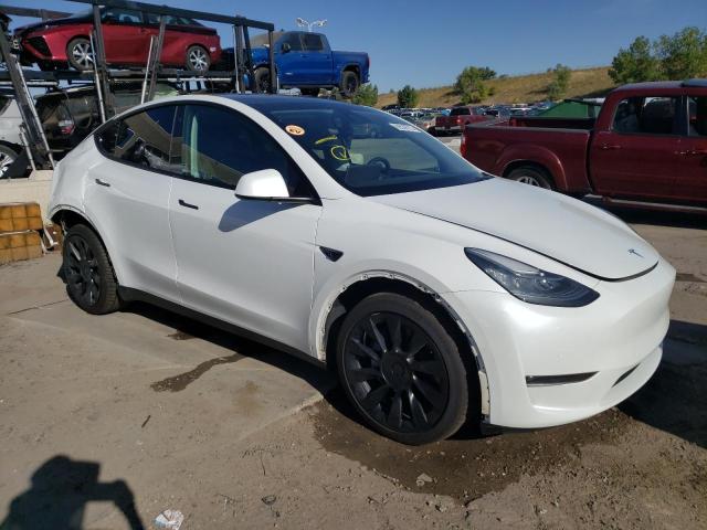 5YJYGDEE8MF255061 Tesla Model Y  4