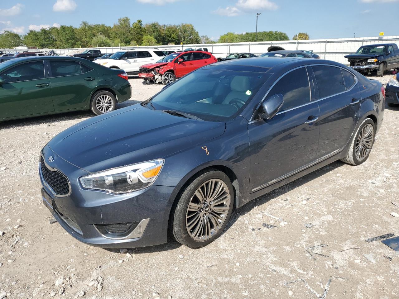 KNALN4D79E5159538 2014 Kia Cadenza Premium
