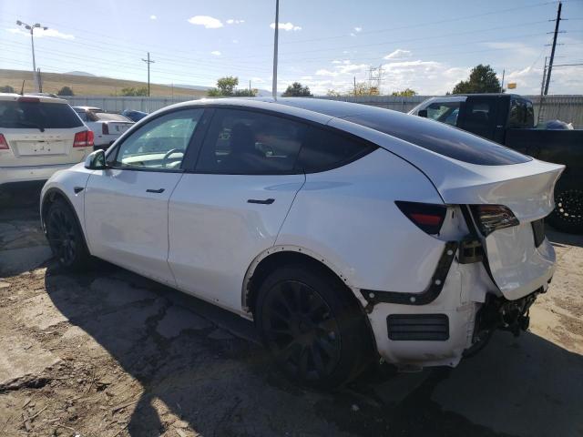 5YJYGDEE8MF255061 Tesla Model Y  2