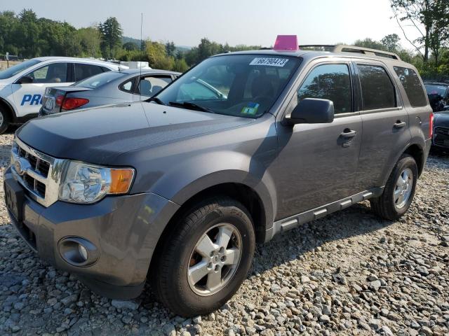 2011 Ford Escape XLT