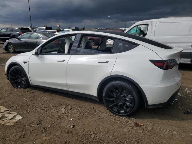 5YJYGDEE8MF201310 Tesla Model Y  2