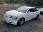 4T1BE46K19U915080 2009 Toyota Camry Base