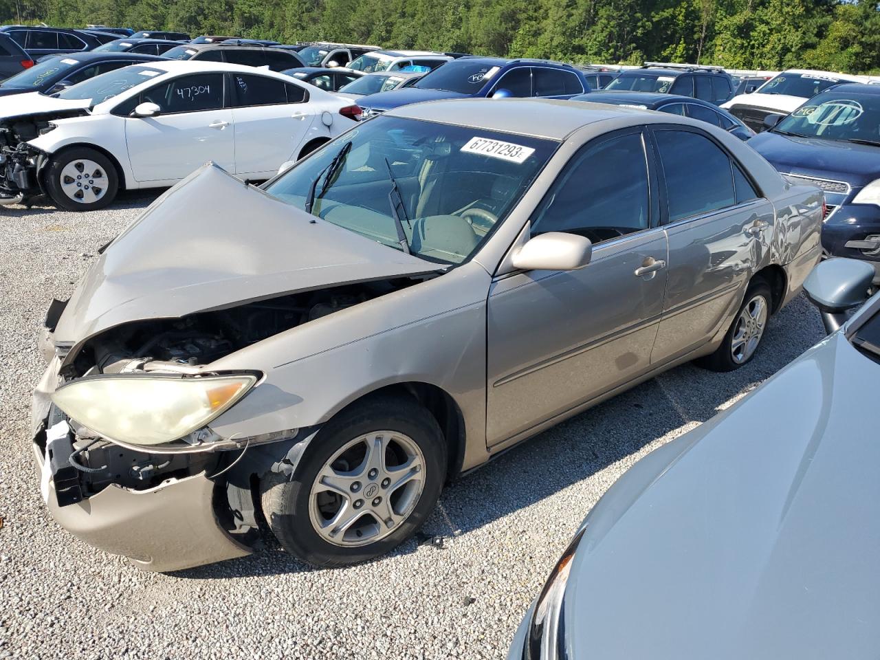 Lot #2339973354 2005 TOYOTA CAMRY LE