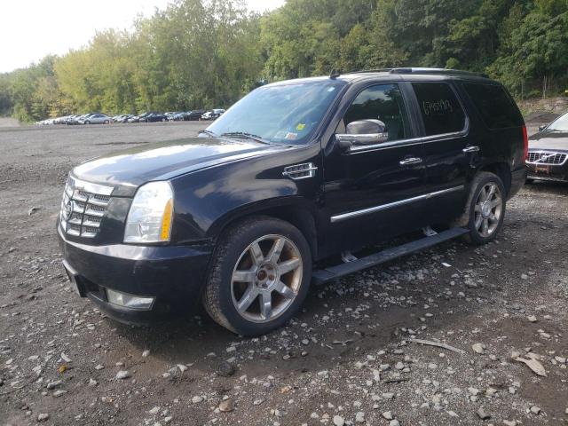 2010 Cadillac Escalade Premium