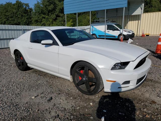 1ZVBP8AM7E5301148 Ford MUSTANG
