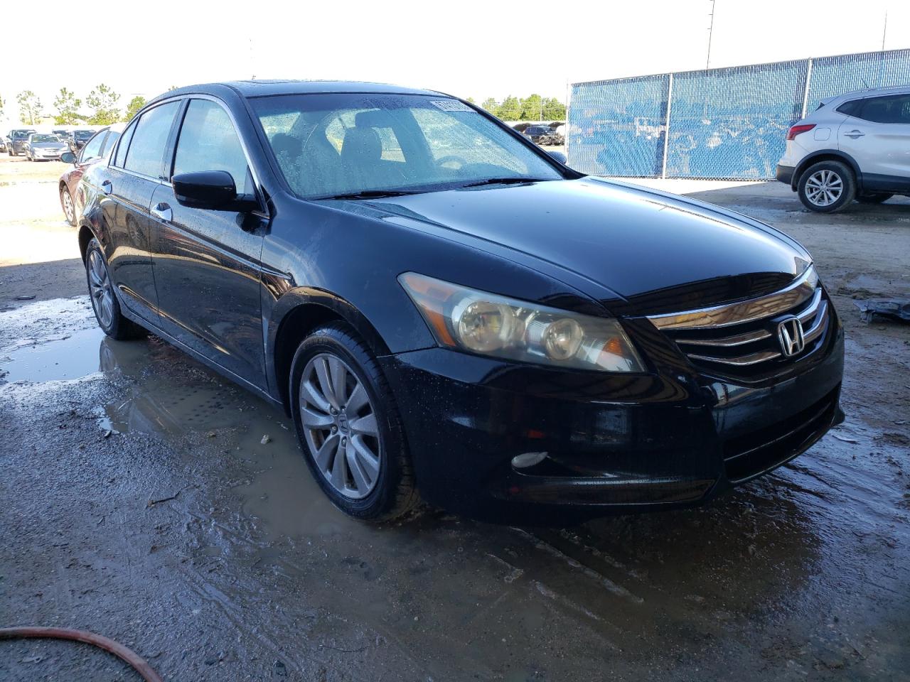 1HGCP3F86BA021232 2011 Honda Accord Exl