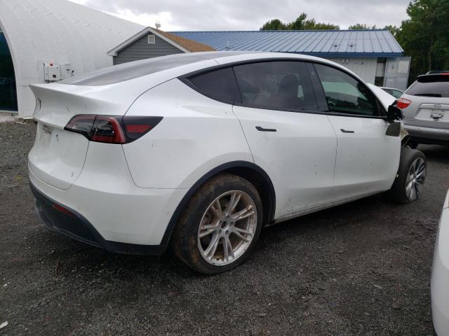 5YJYGDEE3MF232481 | 2021 TESLA MODEL Y