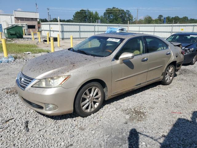 2010 Lexus ES 350 