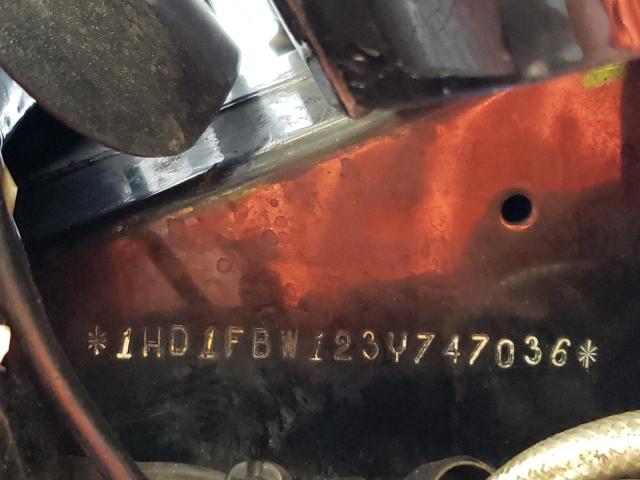 2003 HARLEY-DAVIDSON FLHRI - 1HD1FBW123Y747036