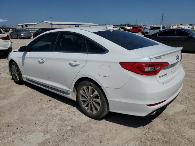 5NPE34AF4GH297102 Hyundai Sonata Sport