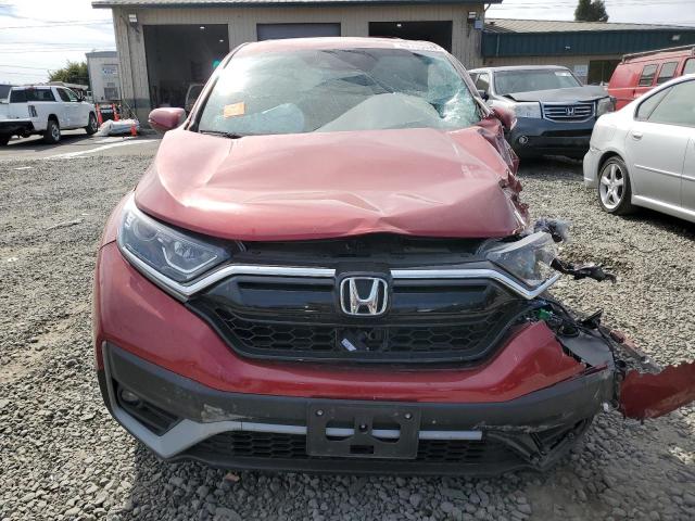 HONDA CRV 2022 Червоний