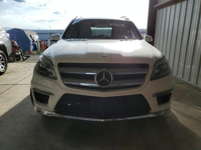 4JGDF2EE2EA276550 Mercedes-Benz Gl 350 Bluetec