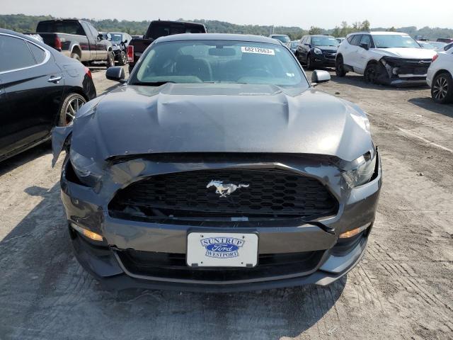 1FA6P8AM6F5342558 Ford MUSTANG