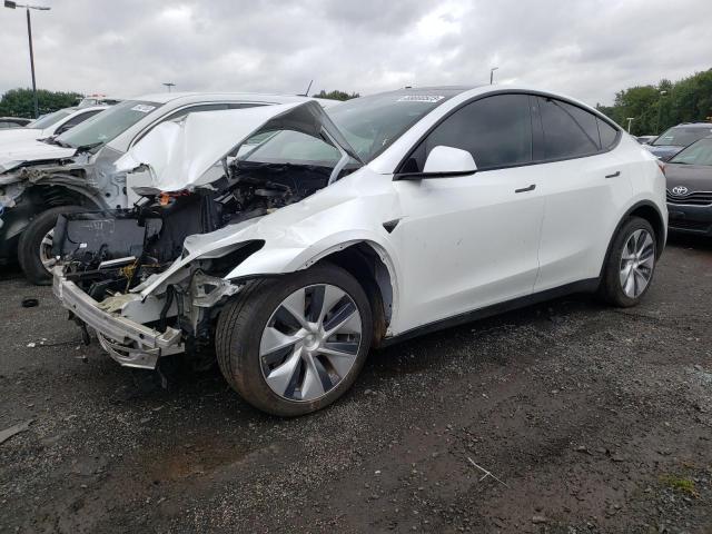 5YJYGDEE3MF232481 | 2021 TESLA MODEL Y