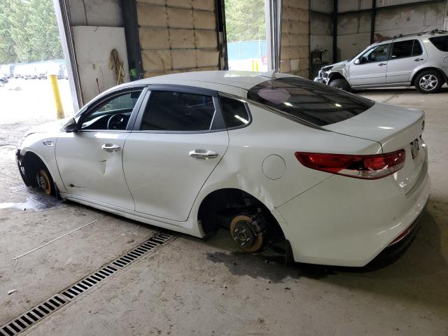 5XXGT4L33JG239691 KIA Optima Lx