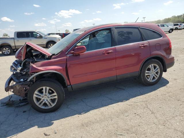 Vin: 5j6re4h71bl082432, lot: 61552785, honda crv exl 2011 img_1