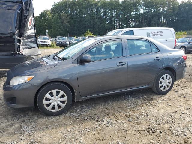 Lot #2489547310 2010 TOYOTA COROLLA BA salvage car