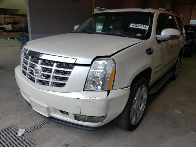 2011 Cadillac Escalade Luxury