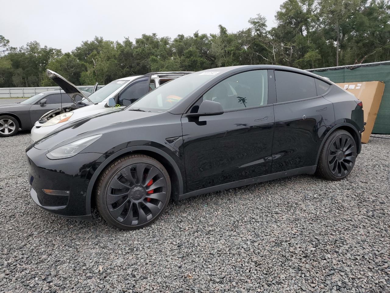 7SAYGDEF4NF544631 Tesla Model Y 