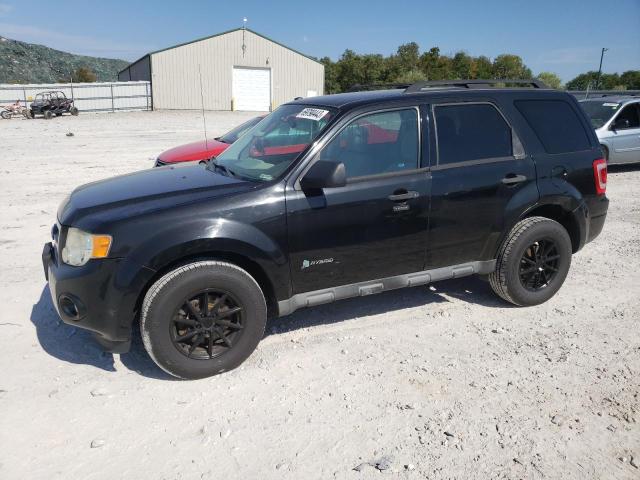 2011 Ford Escape Hybrid