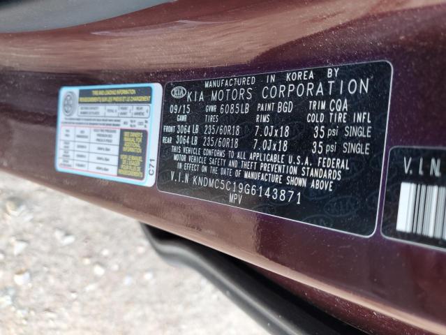 KNDMC5C19G6143871 KIA SEDONA EX
