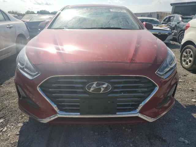 5NPE24AF6KH774186 | 2019 Hyundai sonata se