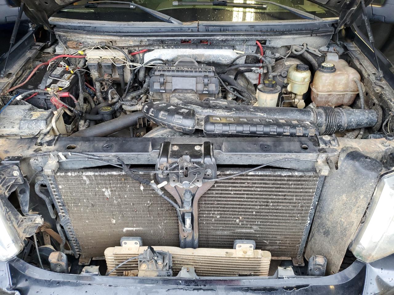 1FTPW14V56FA87313 2006 Ford F150 Supercrew