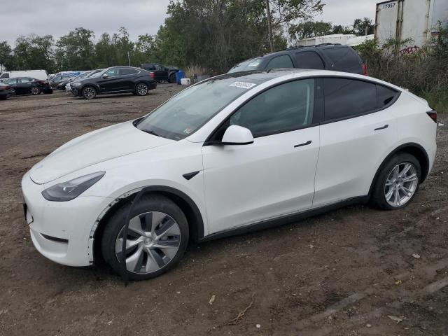 7SAYGAEE4PF668679 | 2023 Tesla model y