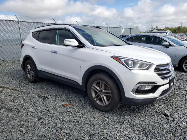 2017 HYUNDAI SANTA FE S - 5XYZUDLB5HG431309