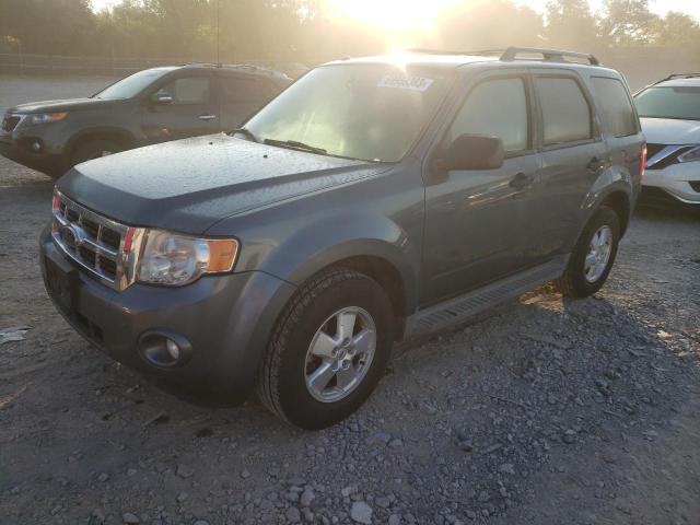 2010 Ford Escape XLT