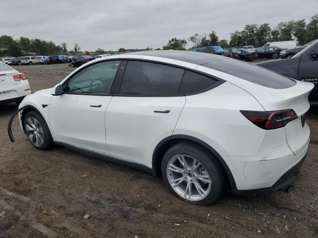 7SAYGAEE4PF668679 | 2023 Tesla model y