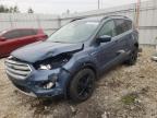 FORD ESCAPE SE photo