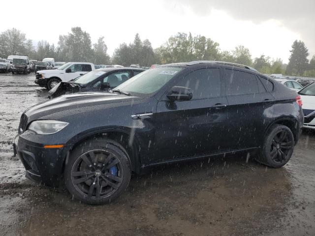 VIN 5YMGZ0C57DLL29818 2013 BMW X6, M no.1